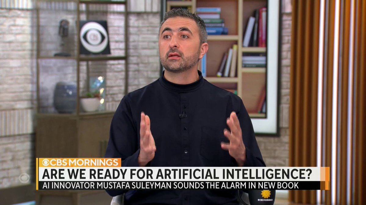 AI Availability and Risks: The Coming Wave Discussion