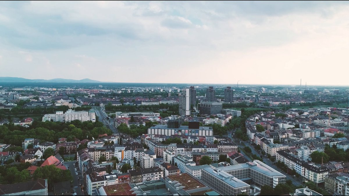 Automate Text Analysis with IBM Watson NLP Library