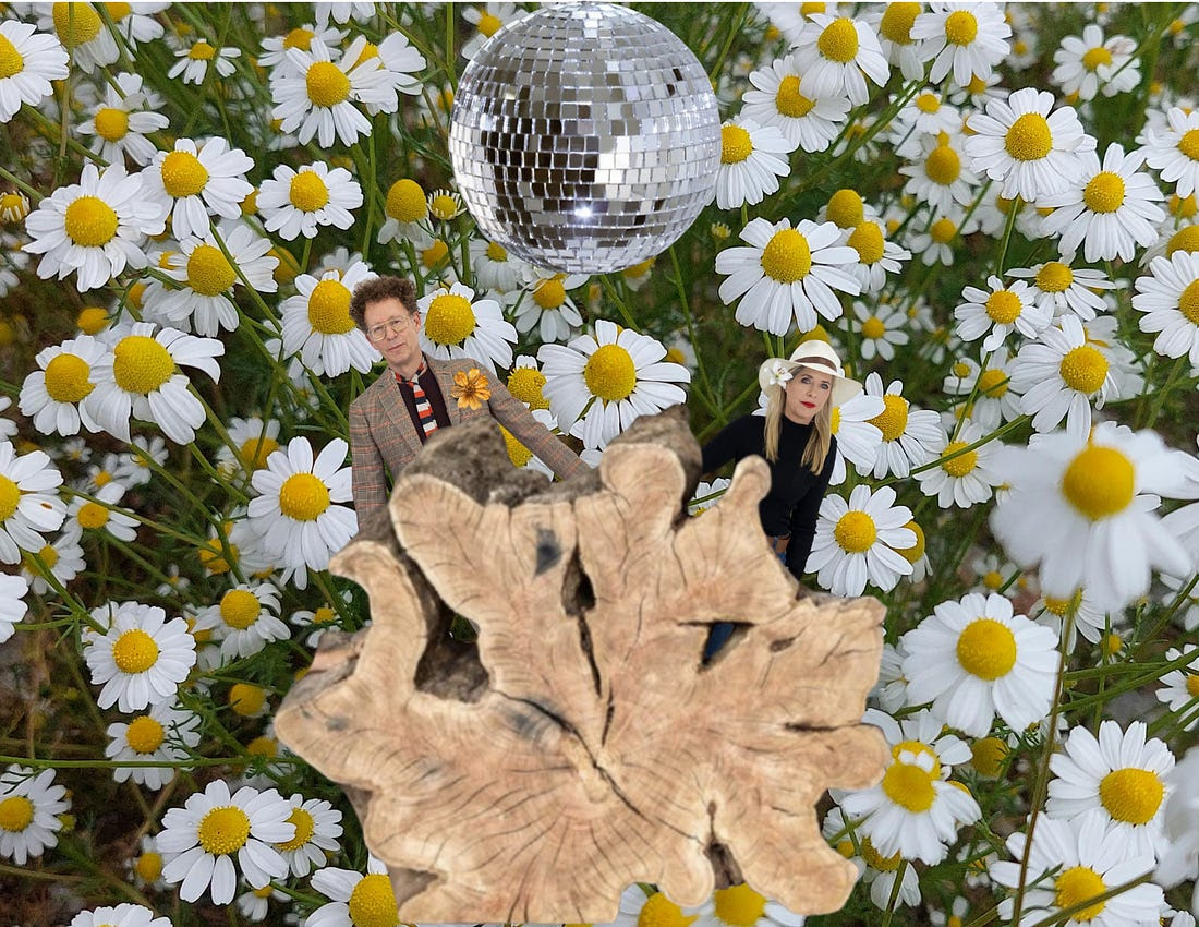 Closing Party Benefit for di Rosa Museum of Contemporary Art