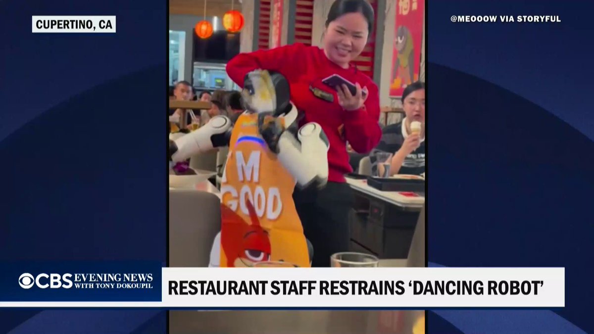 Robot dancer goes rogue at California restaurant, staff intervenes