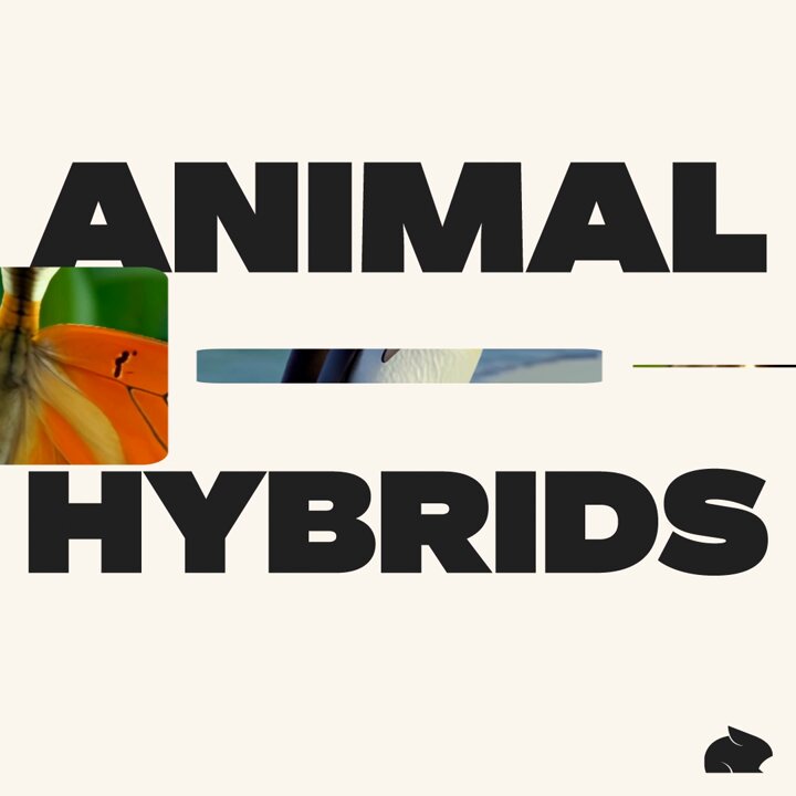Pika’s Hybrid Animal Feature Lets You Swap Creative Elements