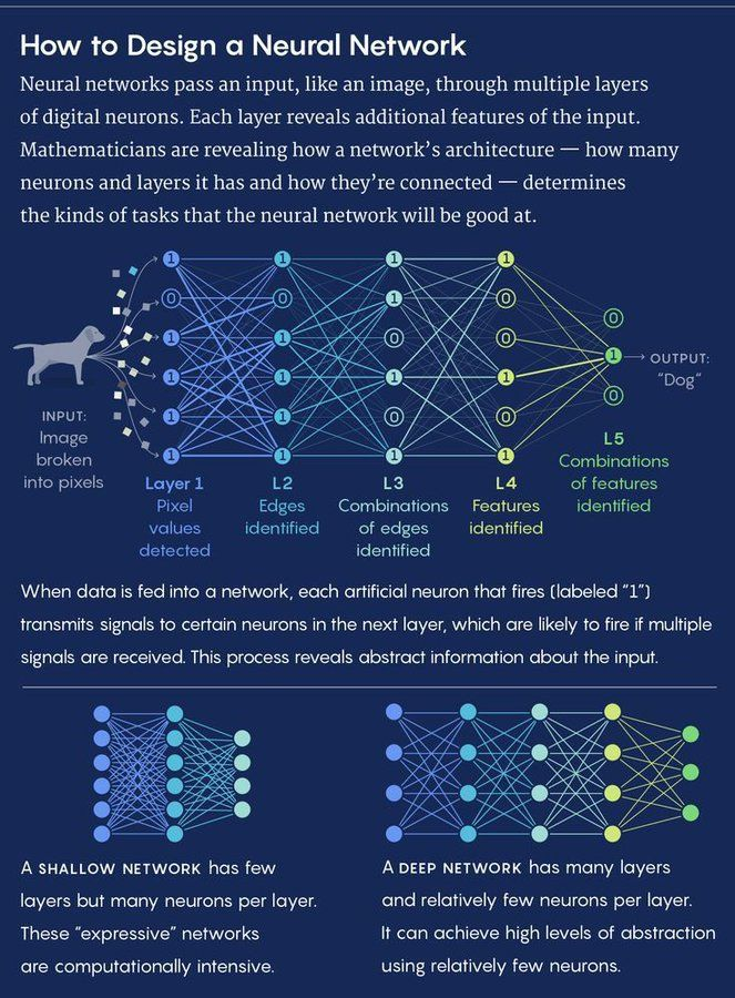 How to Design a Neural Network