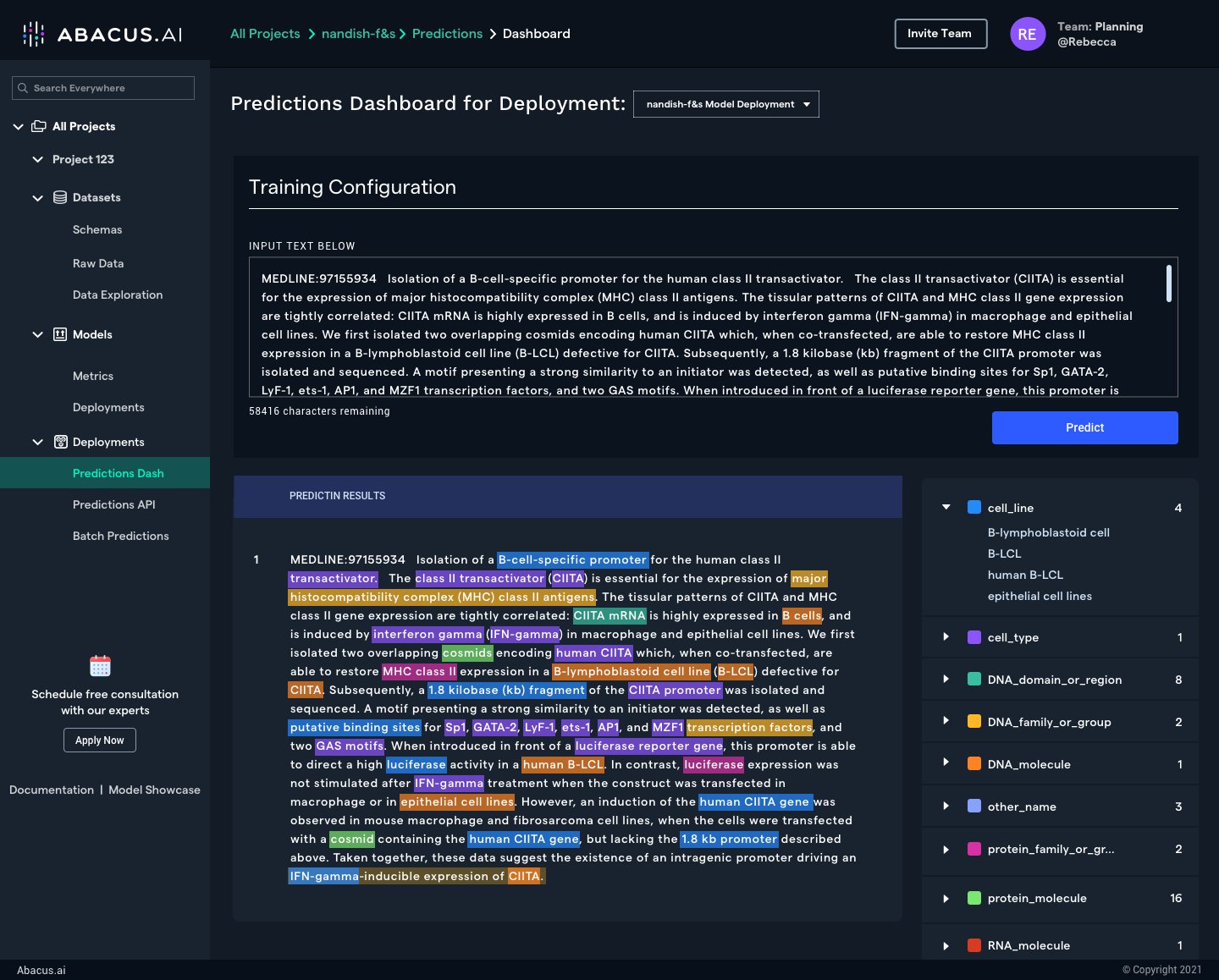 Extract Insights from Unstructured Text with Deep Learning Models