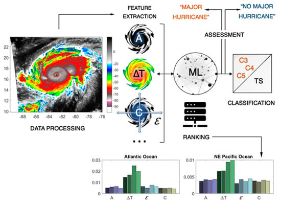 Machine Learning Predicts Hurricane Rapid Intensification and Decay