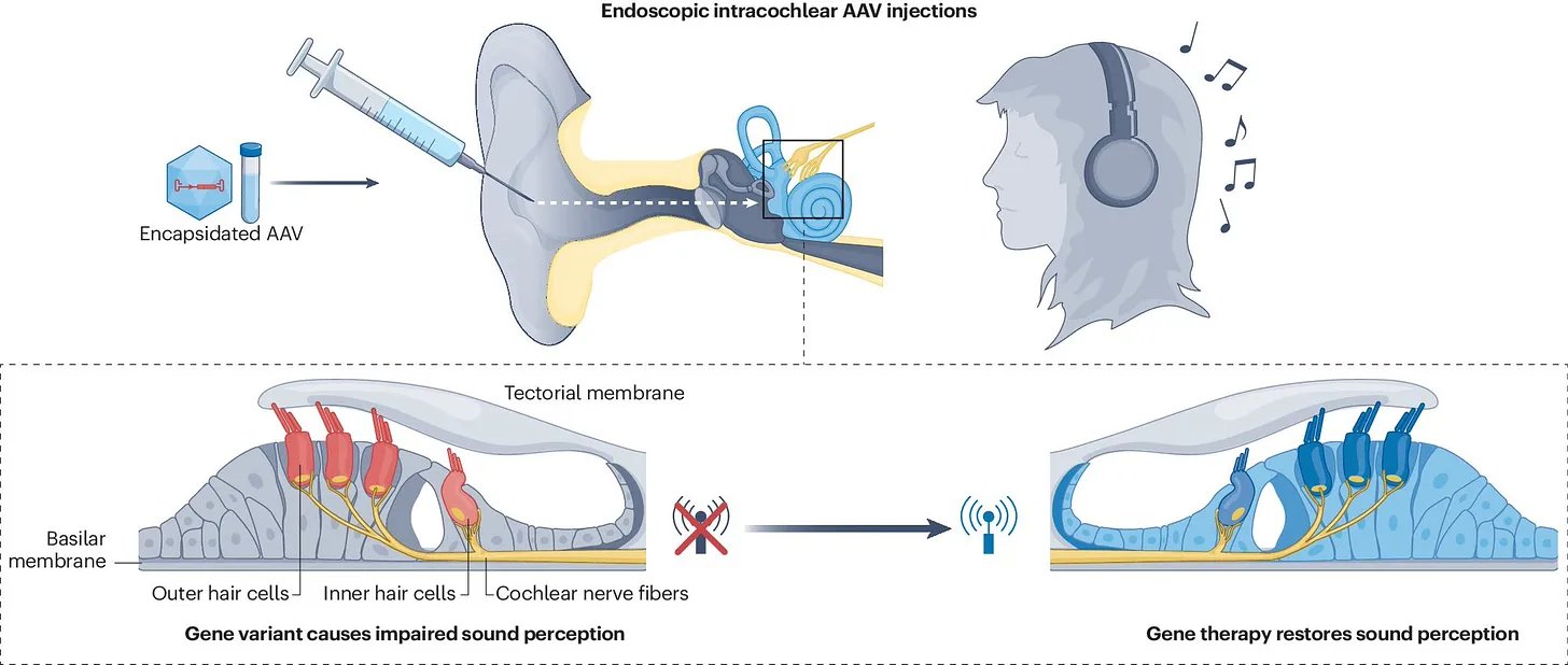 Gene therapy breakthrough and AI advances reshape healthcare and energy sectors