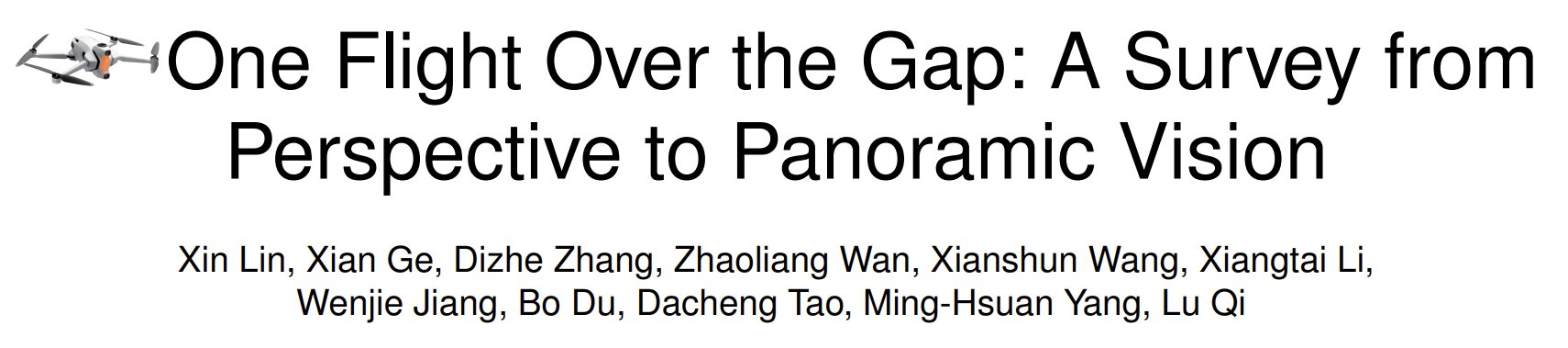 Panoramic Vision Survey: Bridging Gap Between Perspective Views