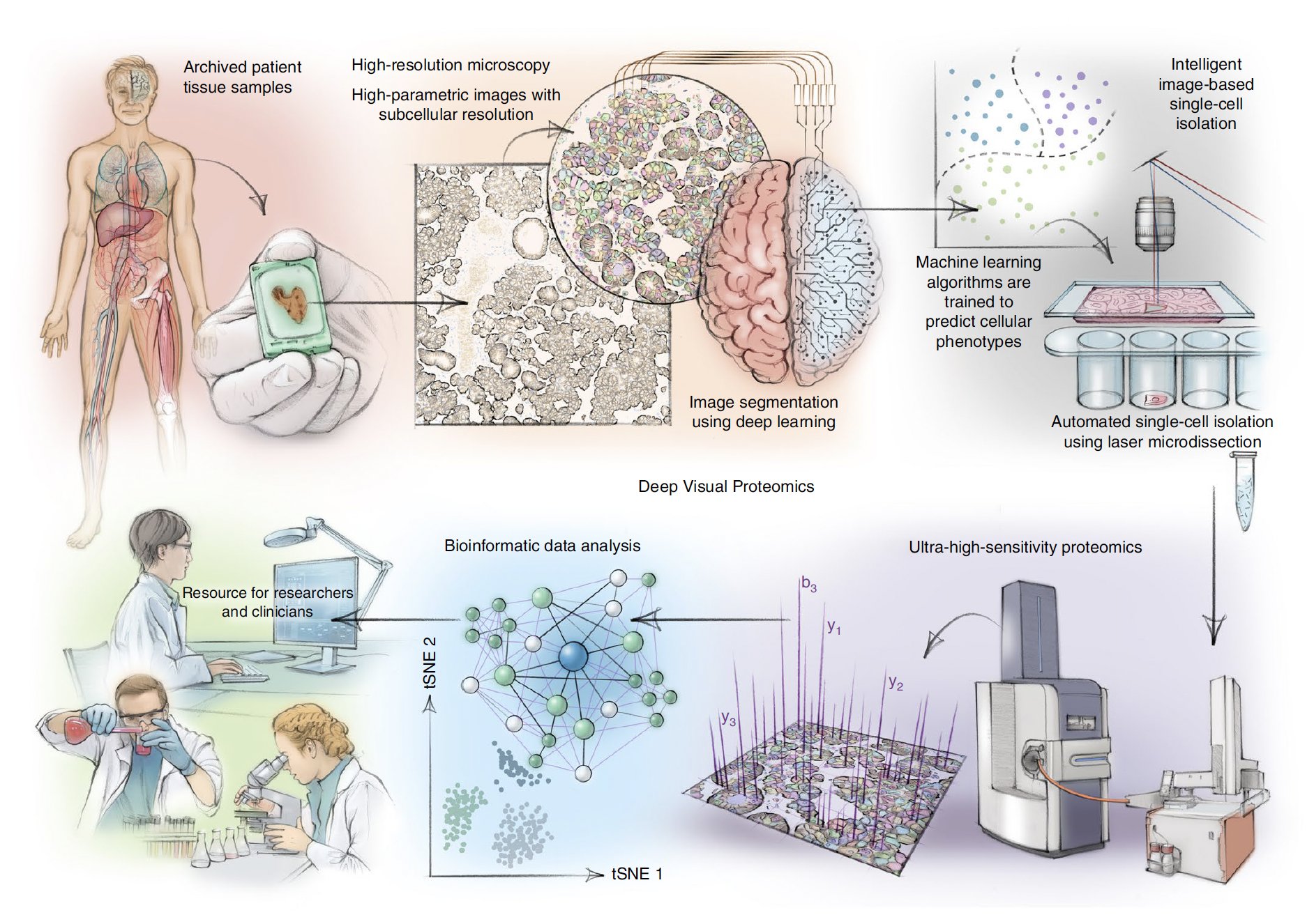 Deep Visual Proteomics Breakthrough Advances Biomedical Research