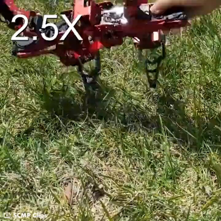 Robot Changes Structure to Mimic Different Animals