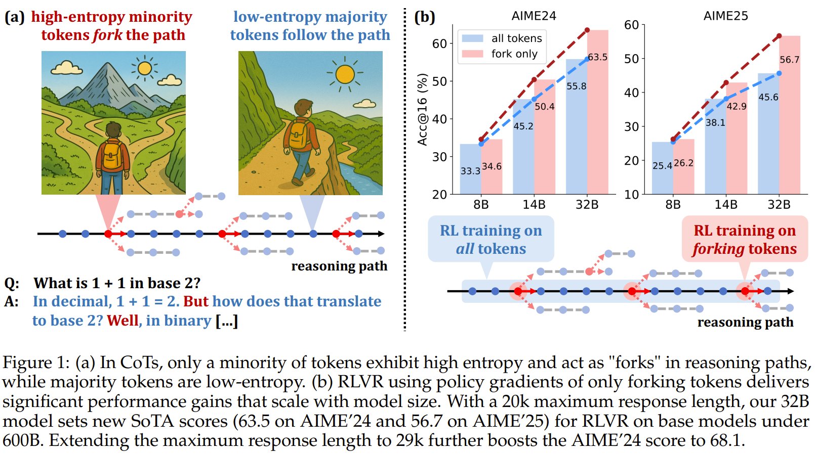 High-Entropy Tokens Drive LLM Reasoning in RLVR