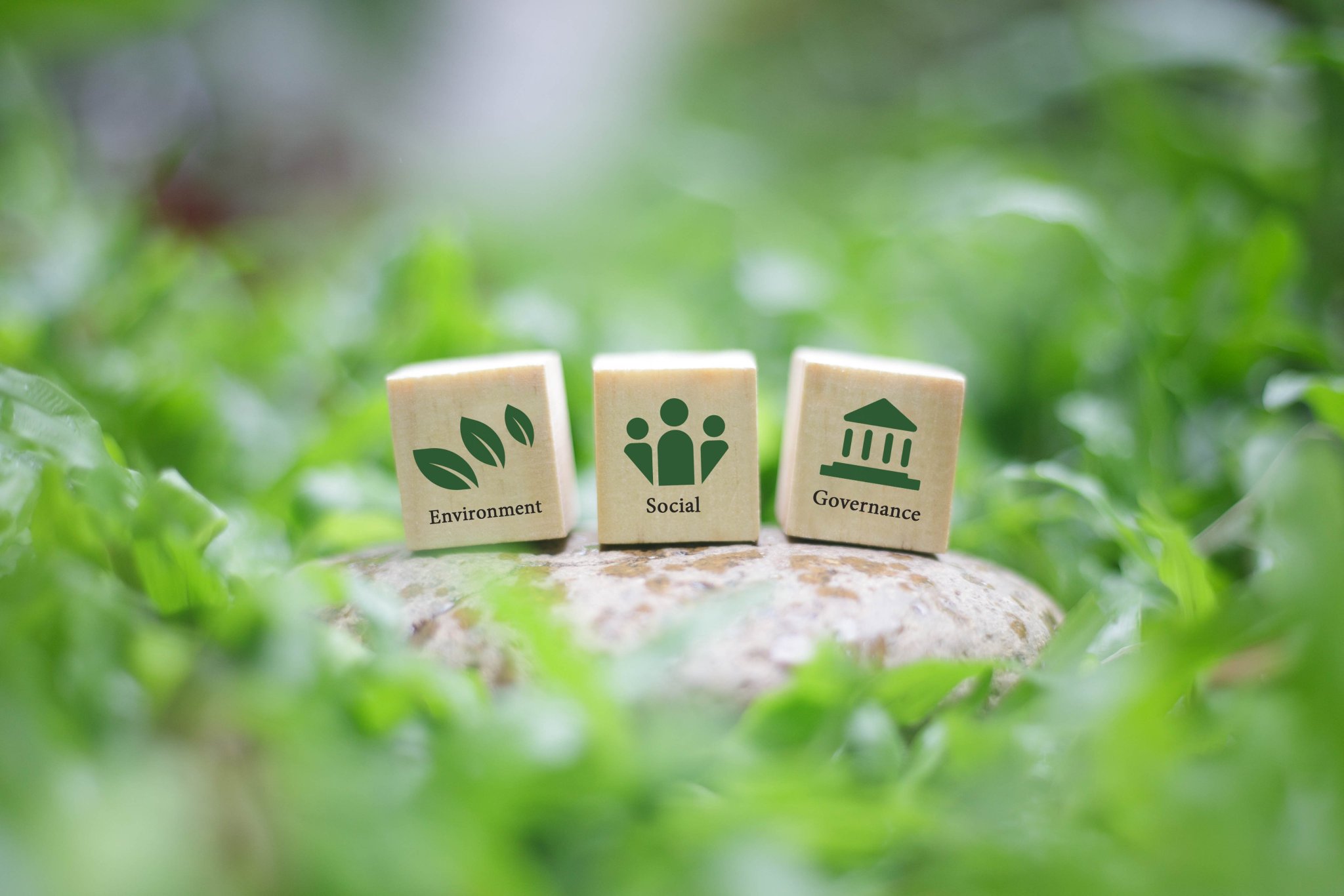 EU Green Capital Toolkit: Sustainable Cities Technology