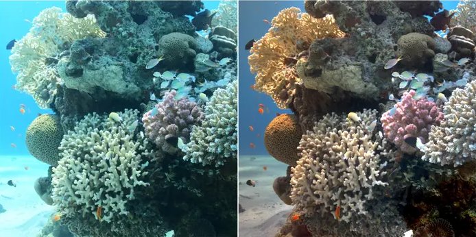 Sea-thru Algorithm Removes Water From Underwater Images
