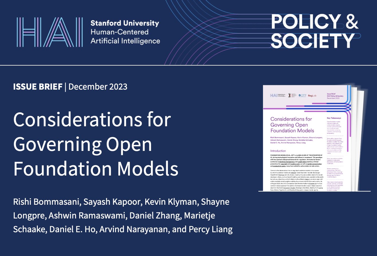 Open Foundation Models: Policy Brief on Governance and Risks