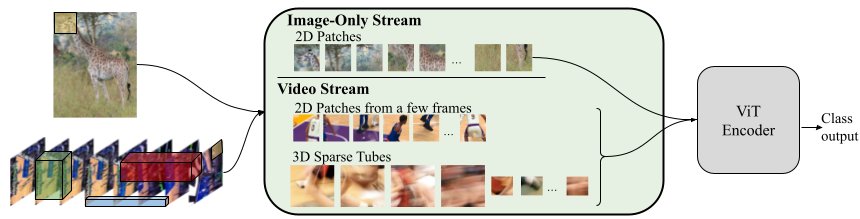 Vision Transformer Efficient Video Backbone Using Sparse Tubes