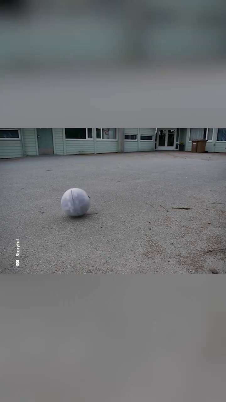 Revolutionary Robot Technology: Transformable Ball-Shaped Design