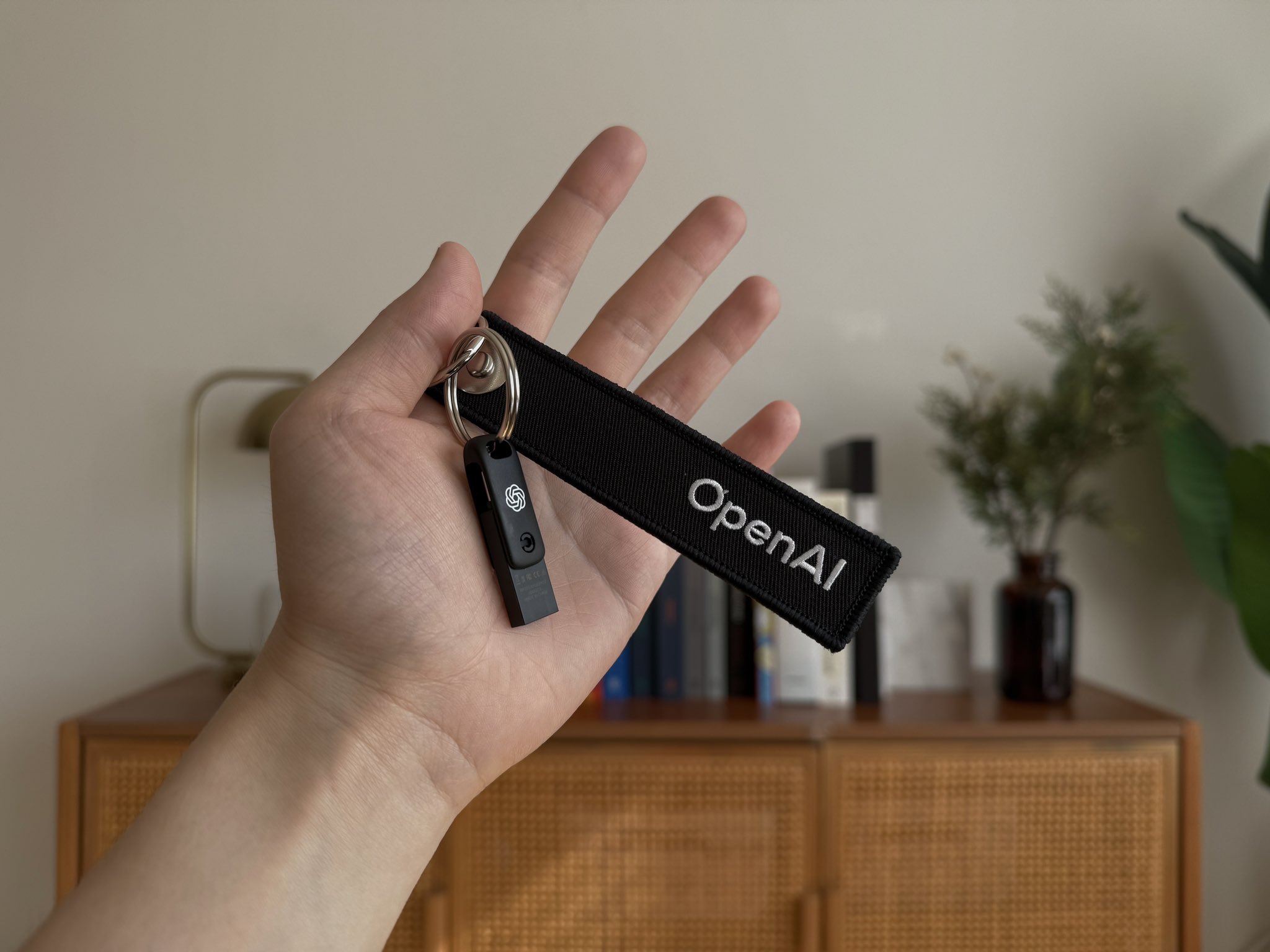 OSS Model Weights on USB: Innovative Merchandise Idea