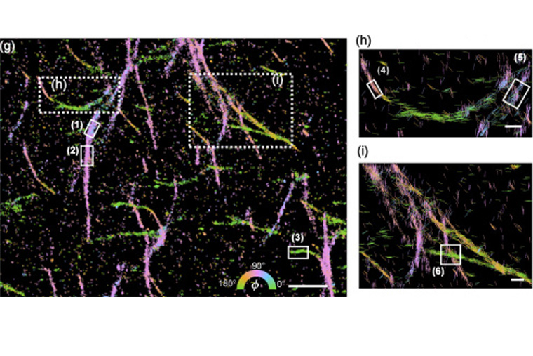 Machine Learning Generates Protein Pictures in 5D