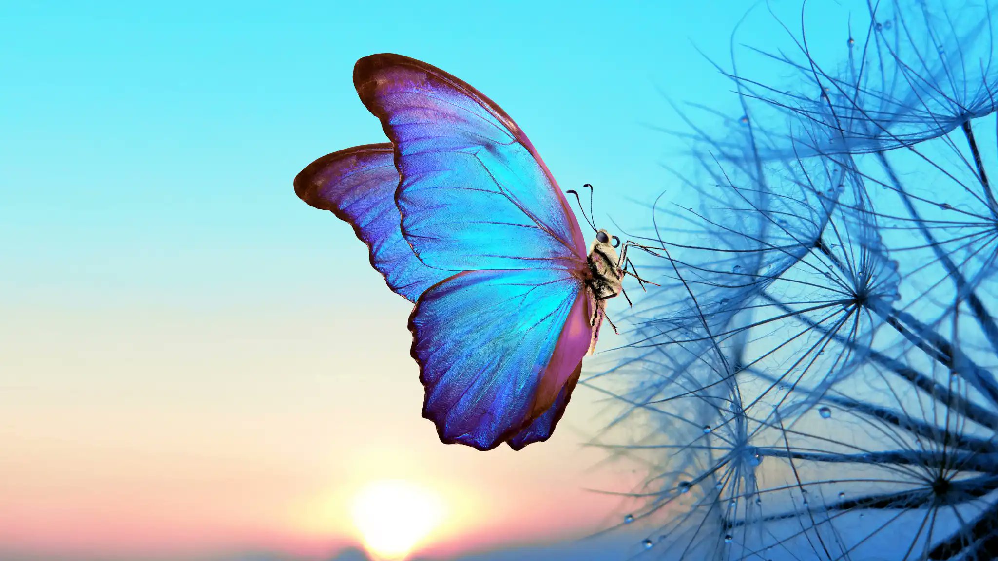 10 Ways to Accelerate Your Digital Transformation Journey