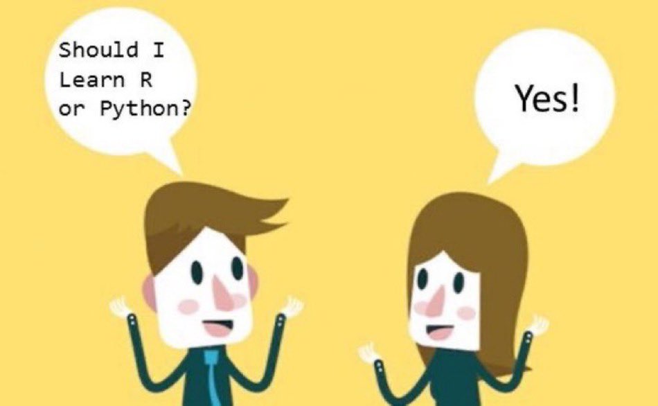 Learning R and Python: Both Essential Skills for Data Scientists