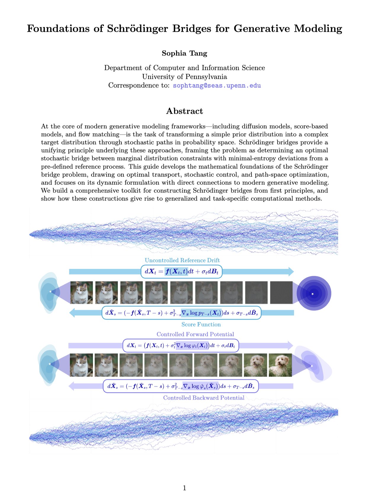 Schrödinger Bridges: Unified Foundation for Generative Models