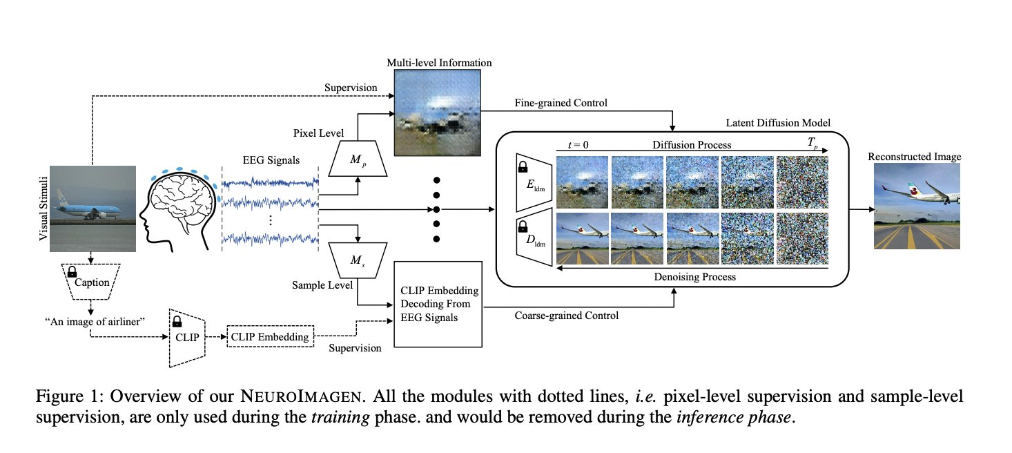 NeuroImagen reconstructs visual stimuli from EEG signals