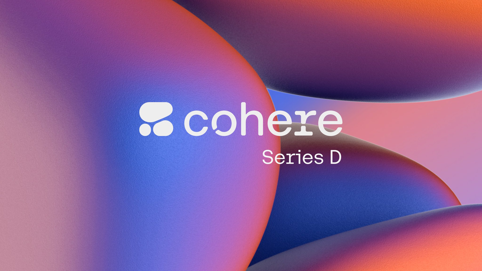 Series D Funding Announcement for Enterprise Data Privacy AI Solutions