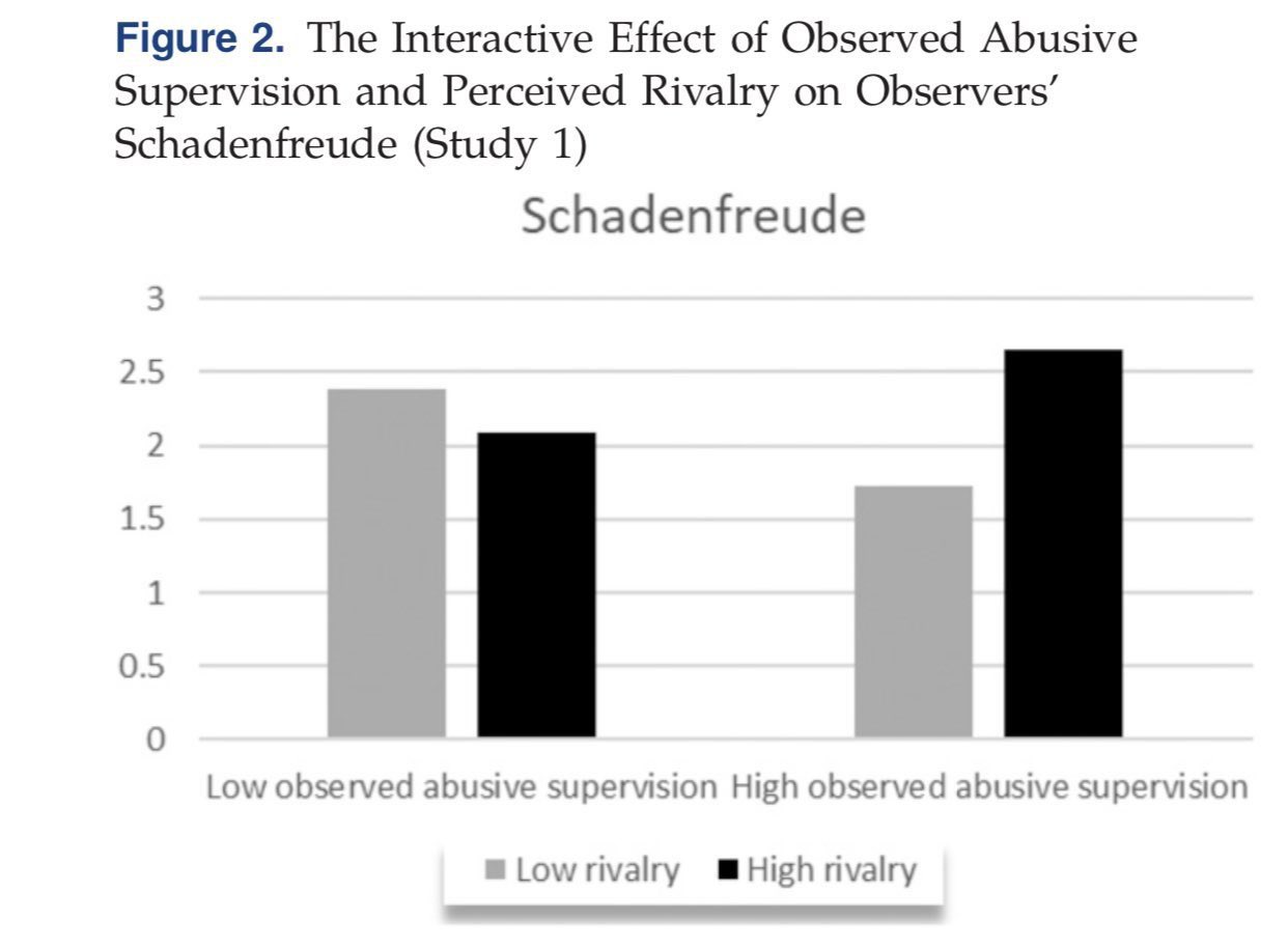 Schadenfreude in workplace culture: building cooperation over competition
