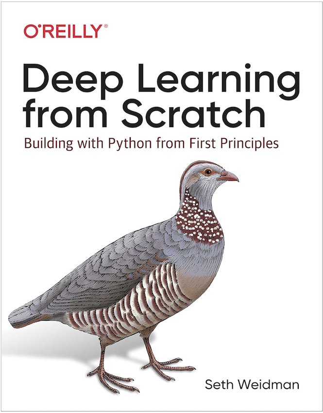 Learn Deep Learning from First Principles with Python