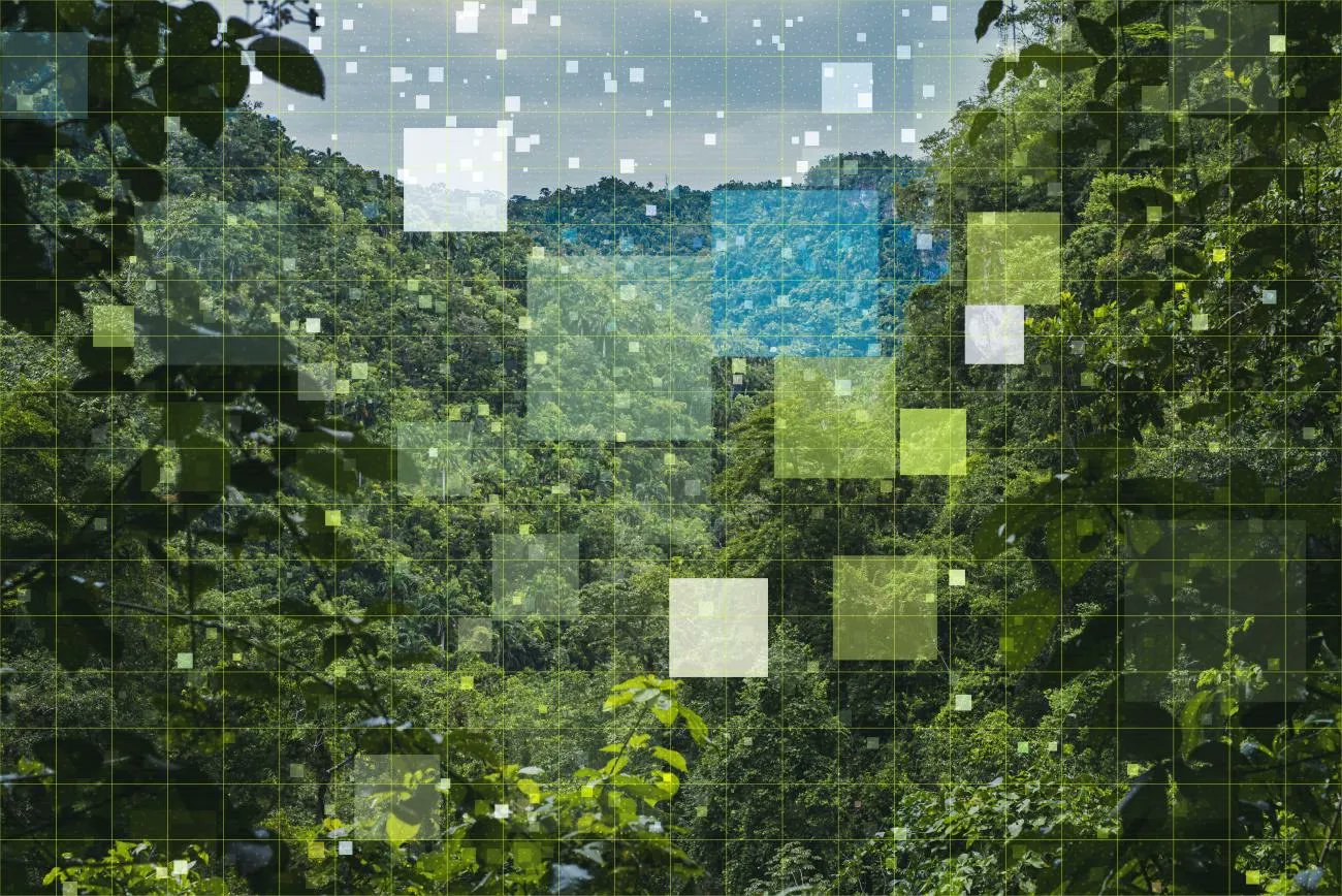How AI Can Combat Climate Change