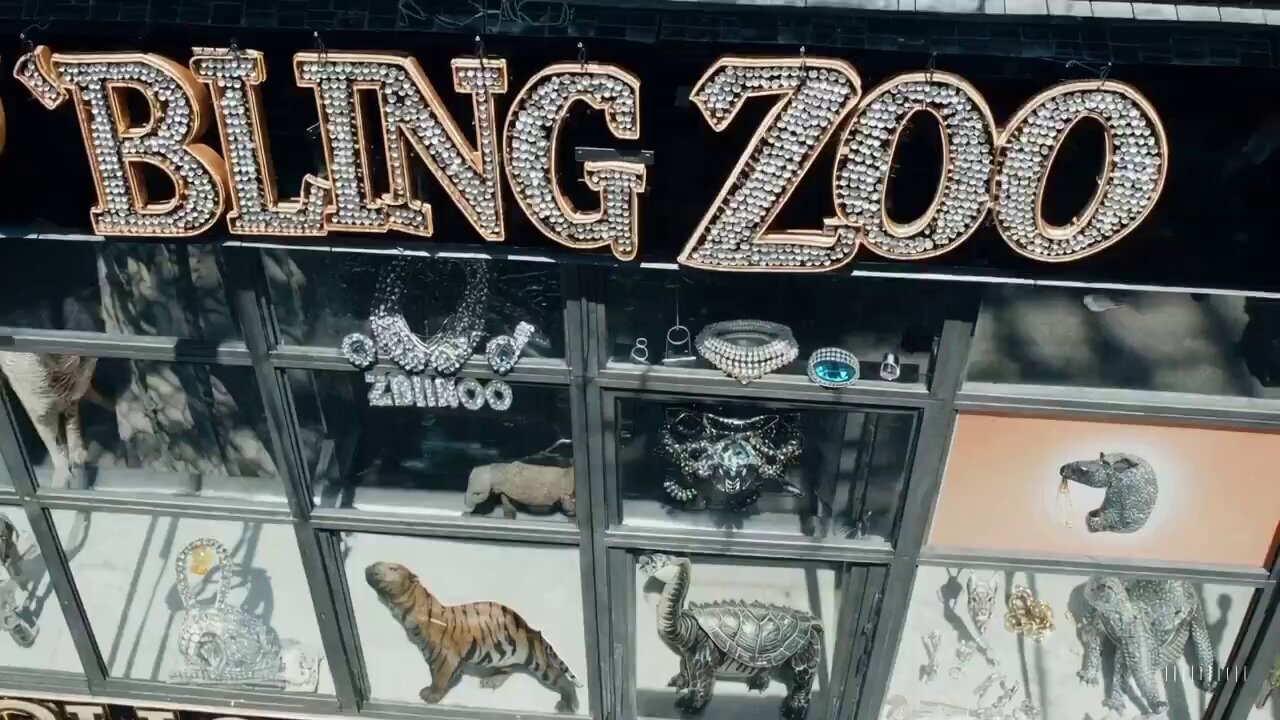 Sora’s Bling Zoo: Single Video Multi-Shot Generation
