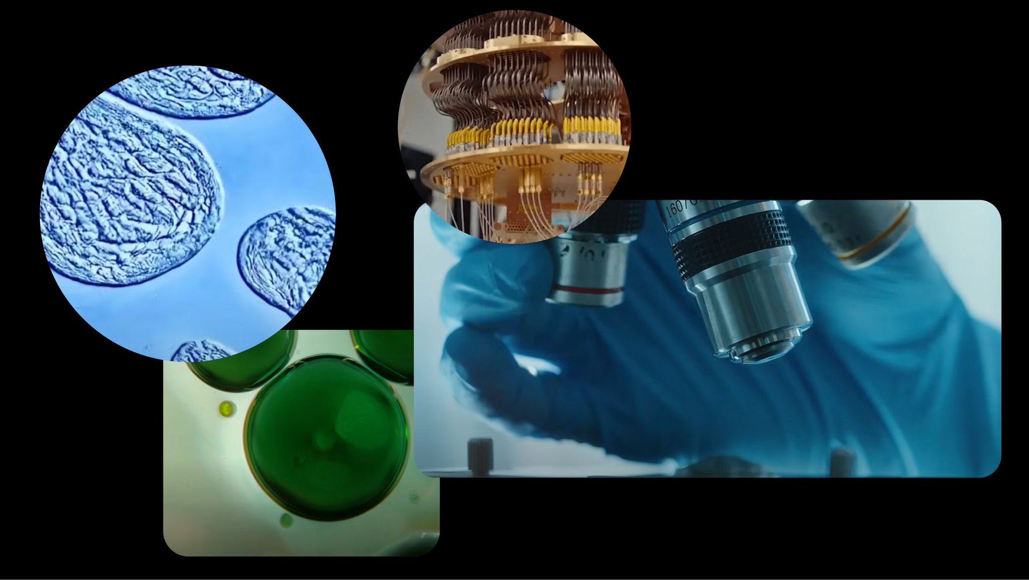 Google Research Uses AI for Scientific Breakthroughs