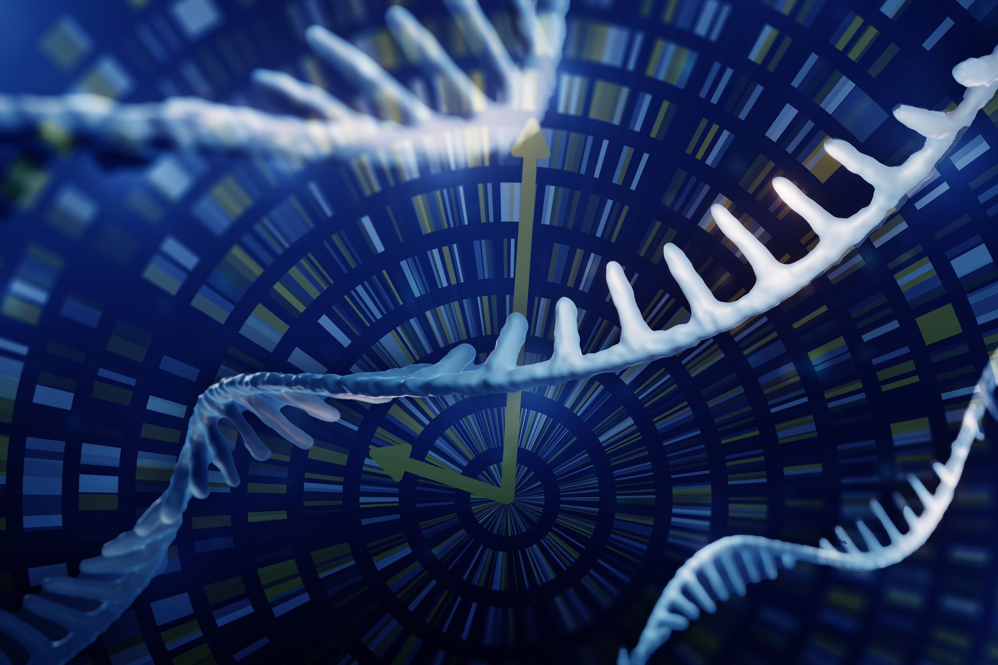 Noninvasive Technique Reveals Changes in Cells’ Gene Expression Over Time