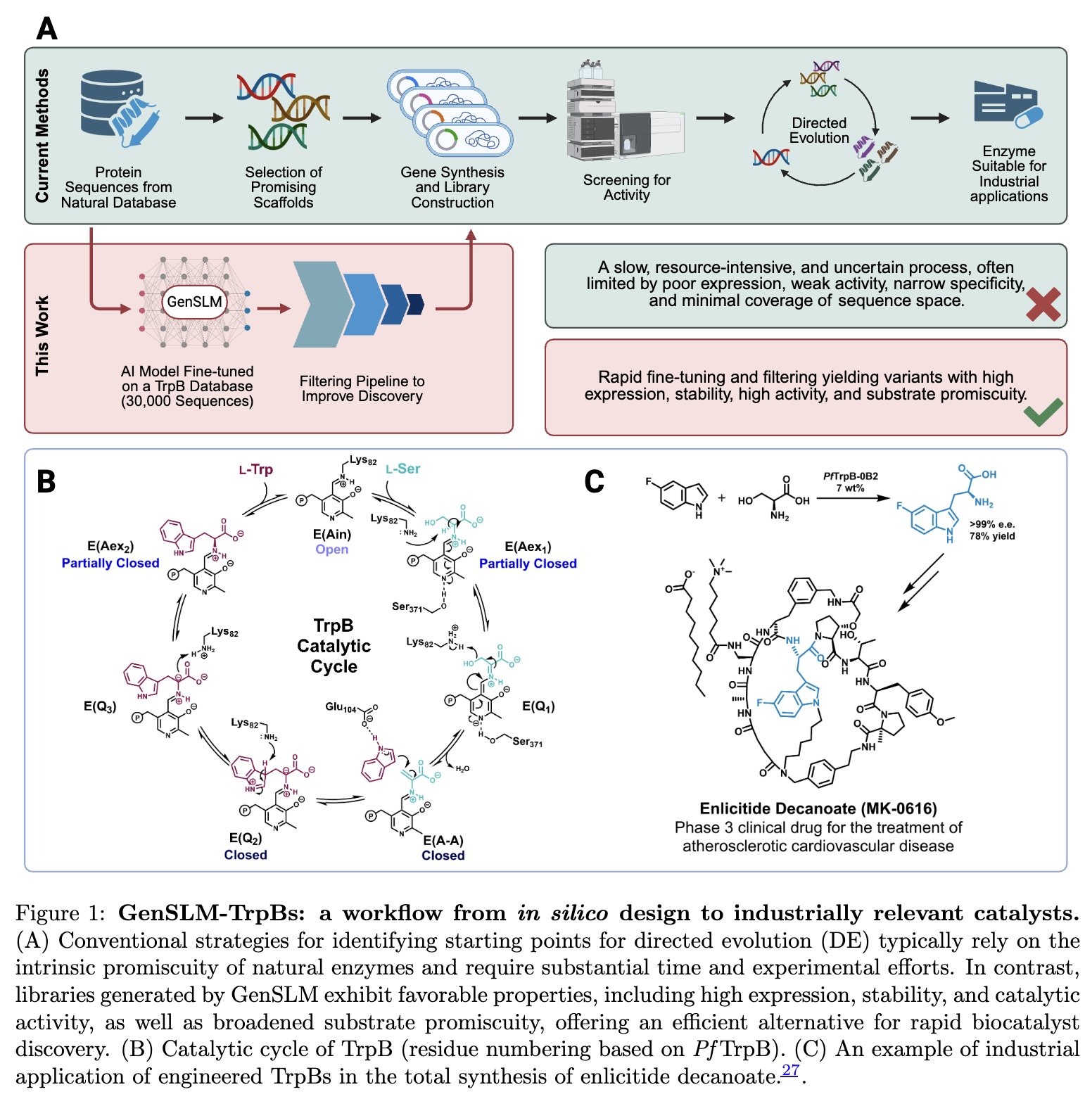 GenSLM AI Model Designs Novel Enzymes in Biology