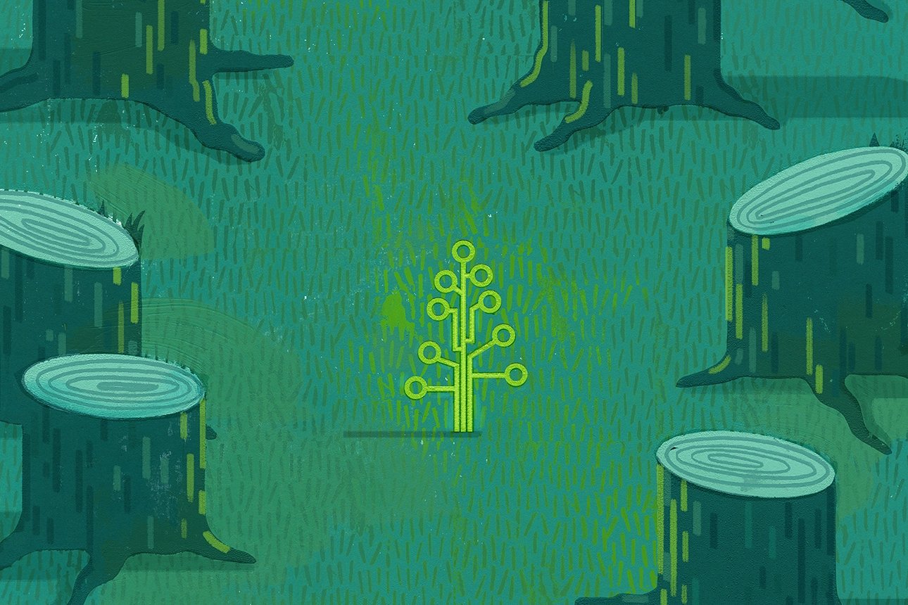 Building Effective AI Solutions with Limited Data