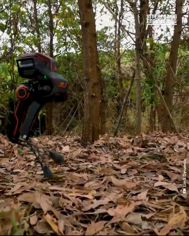 Introducing P1: A Cute Robot by Intelligent Engineering
