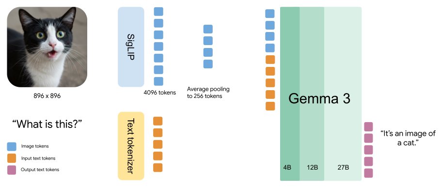 Google Releases Gemma 3n Open Model with Developer Guide and Competition