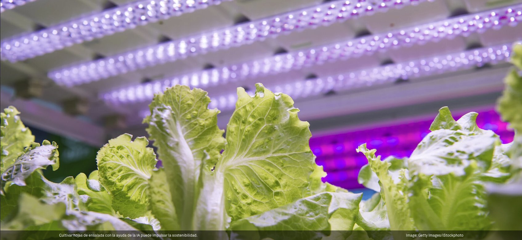 AI Revolutionizes Sustainability: Agriculture, Urban Planning, and Underestimated Potential