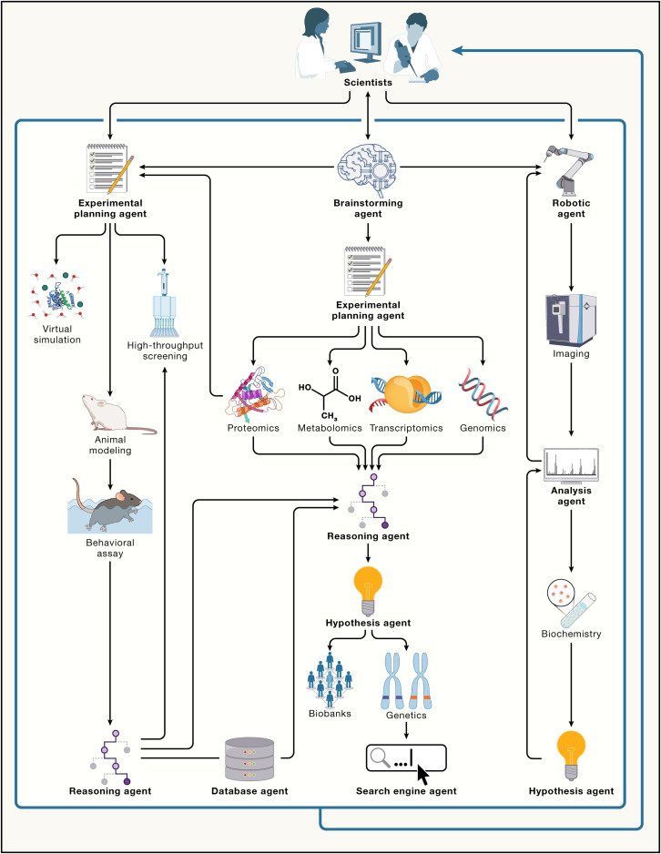 AI Scientists Empower Biomedical Research Through Collaborative Agents