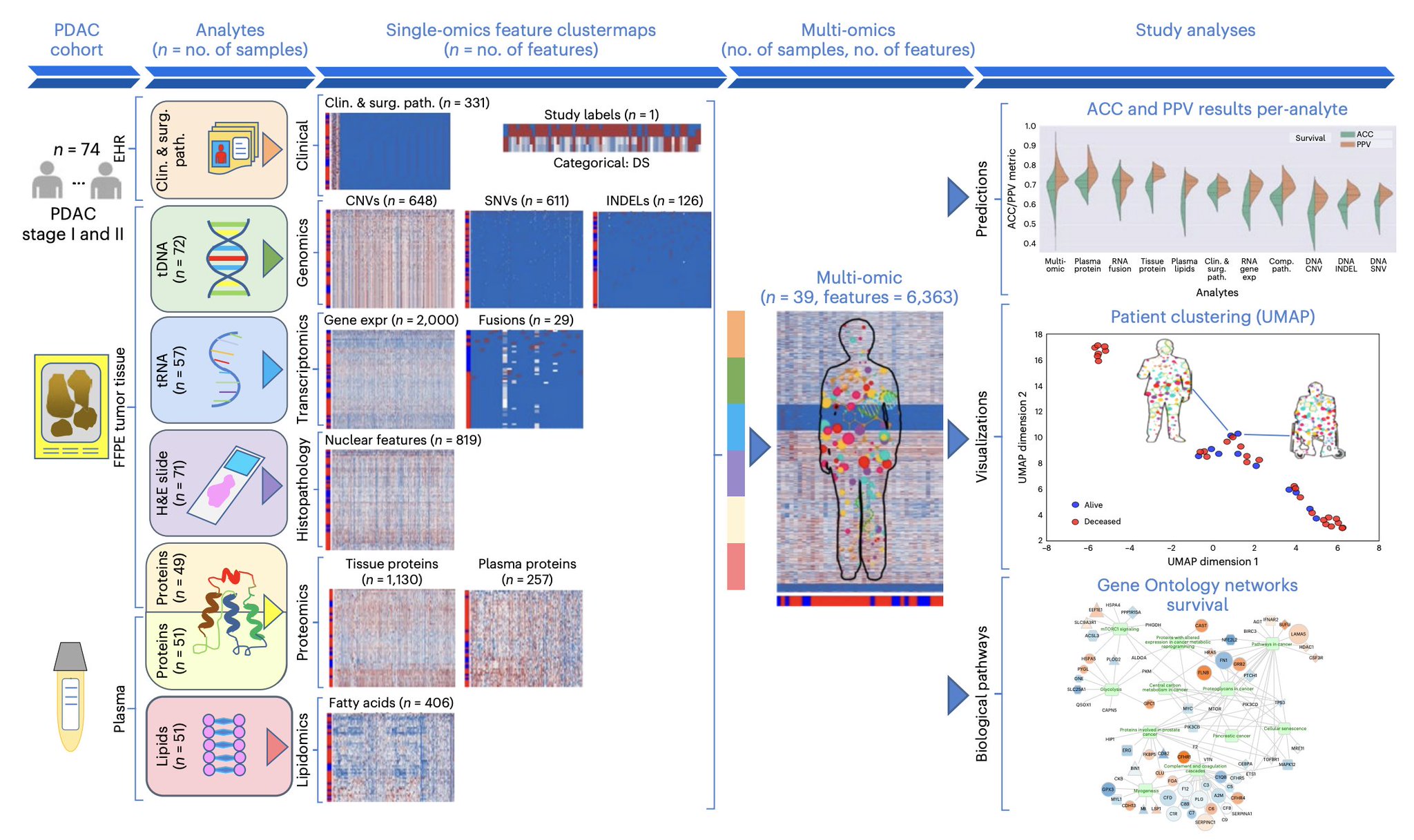Multimodal AI Advances Early Pancreatic Cancer Diagnosis