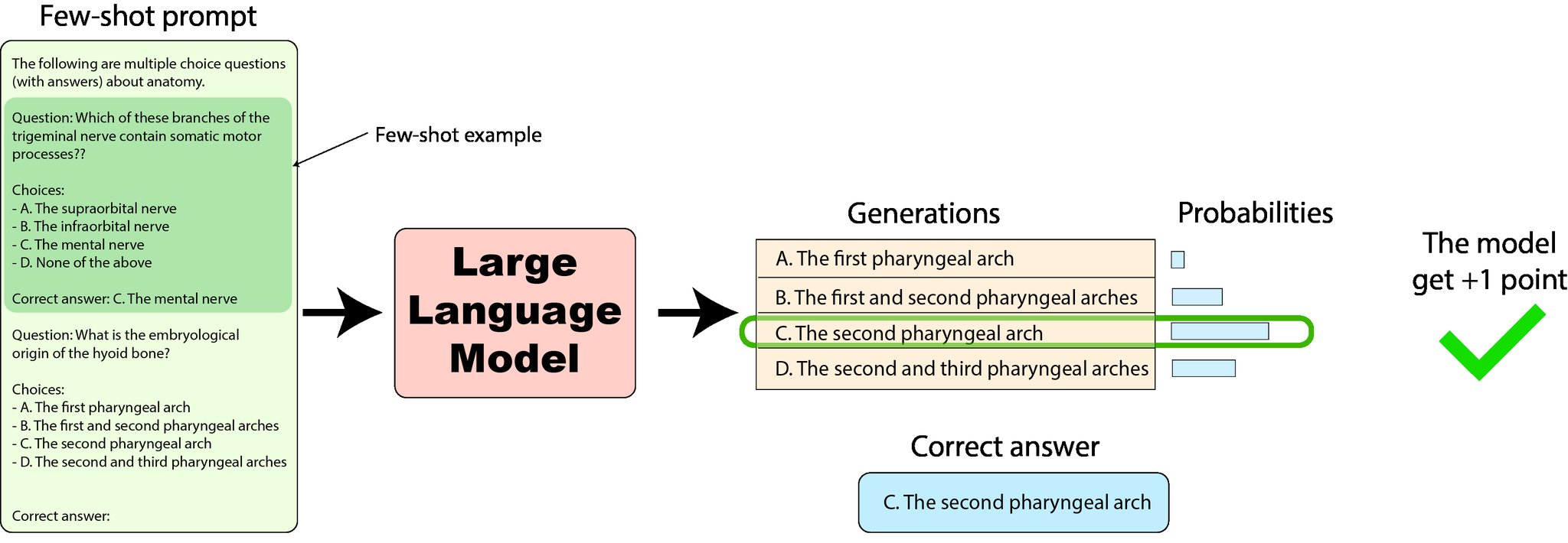 Harness Evaluation Framework for Large Language Models