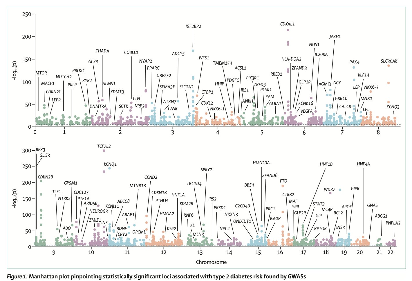 Genomic Loci Association with Type 2 Diabetes Reviewed