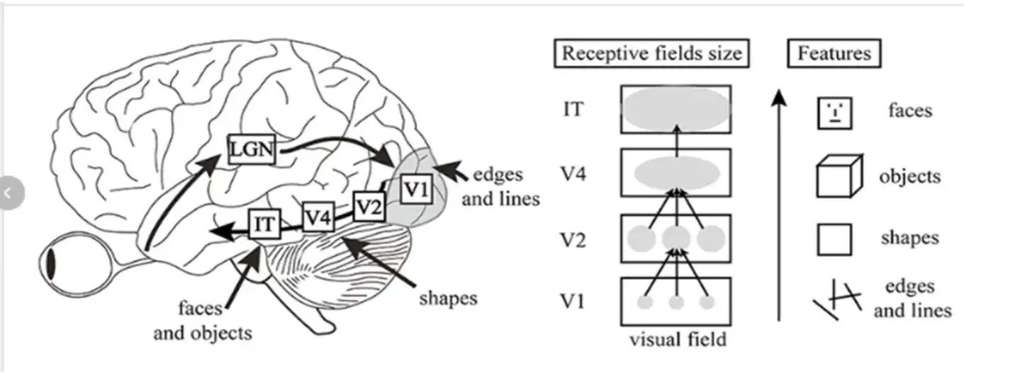 Convolutional Neural Networks: Deep Learning Fundamentals