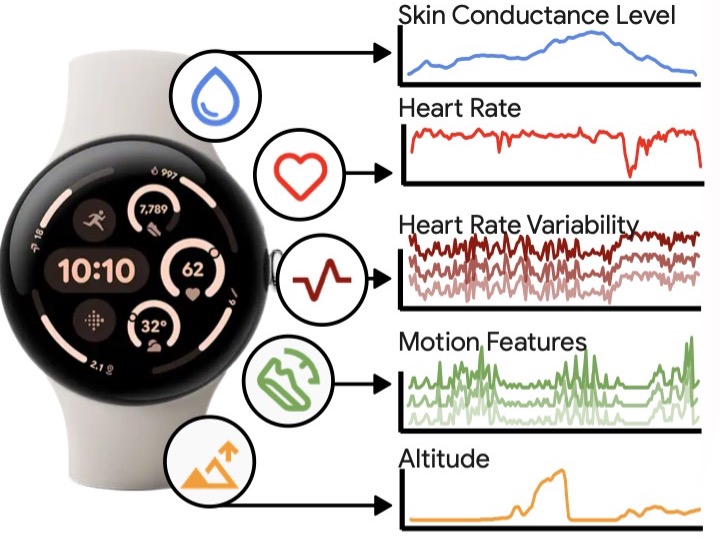 Scaling Foundation Models for Wearable Sensor Data