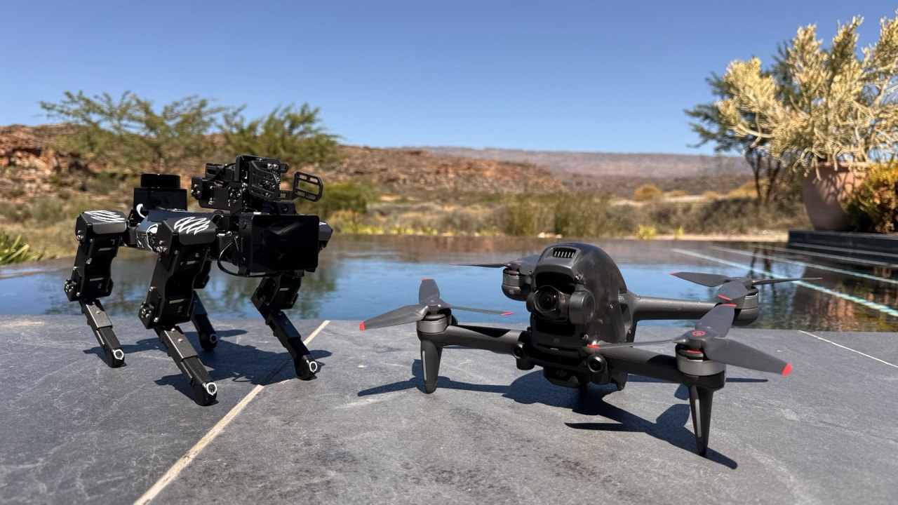 FPV Drone Flight: Animal and Robotics Comparison