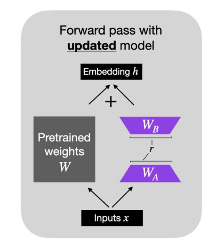 LoRA and QLoRA Fine-tuning Insights for Large Language Models