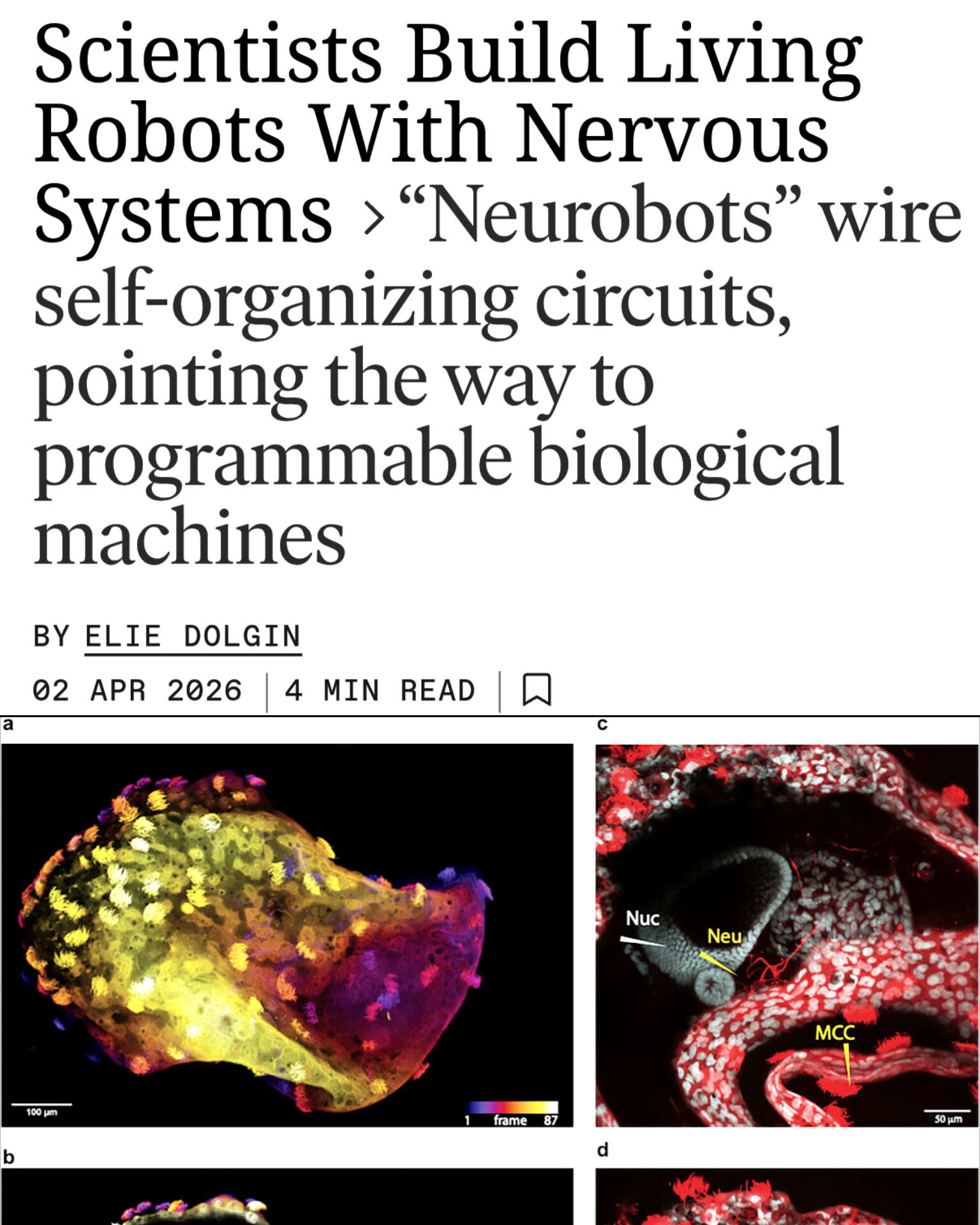 Neuromorphic Chips and Neurosymbolic AI Path to AGI
