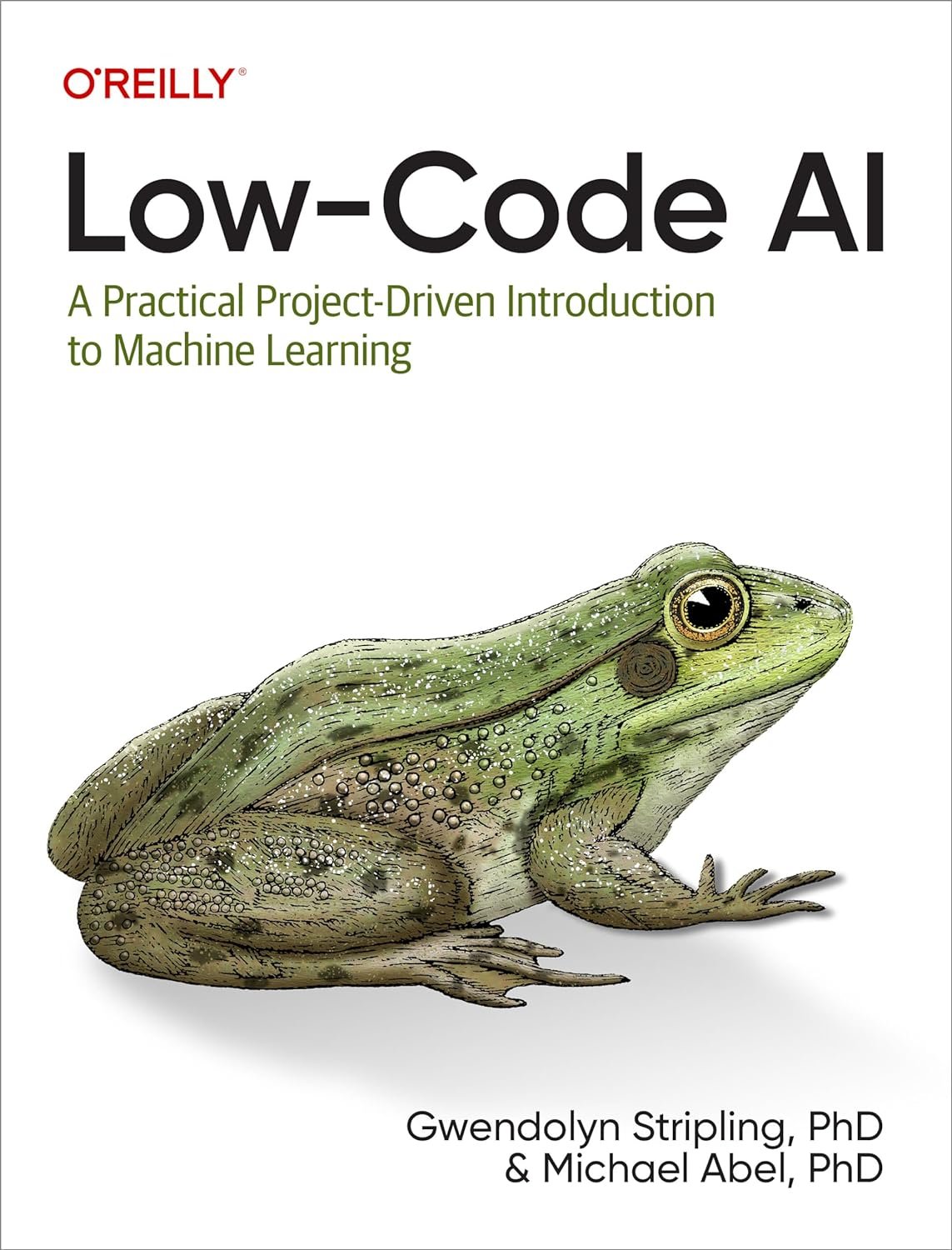 Low-Code AI: Practical Machine Learning Project-Driven Introduction Book