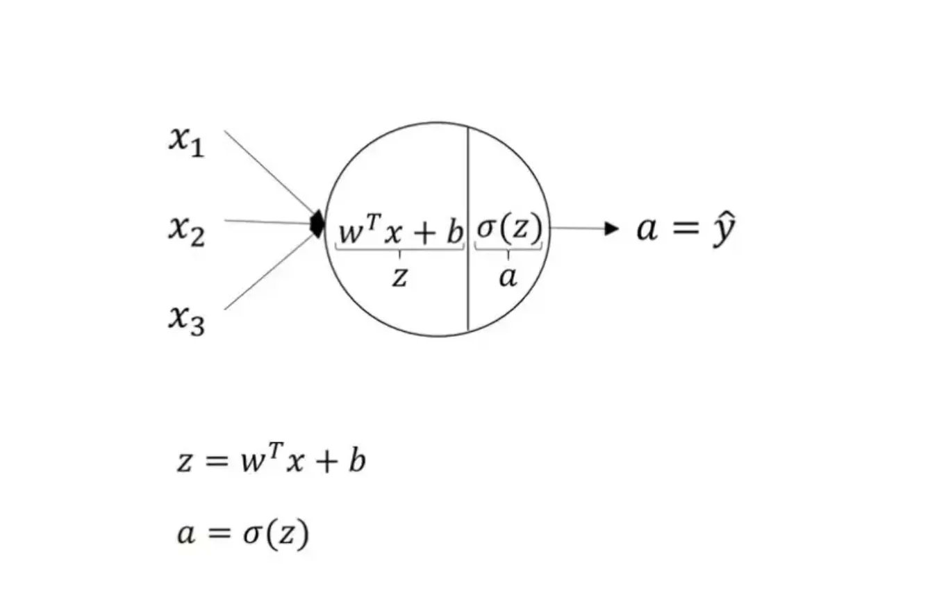 Comprehensive Study of Artificial Neural Networks and Machine Learning