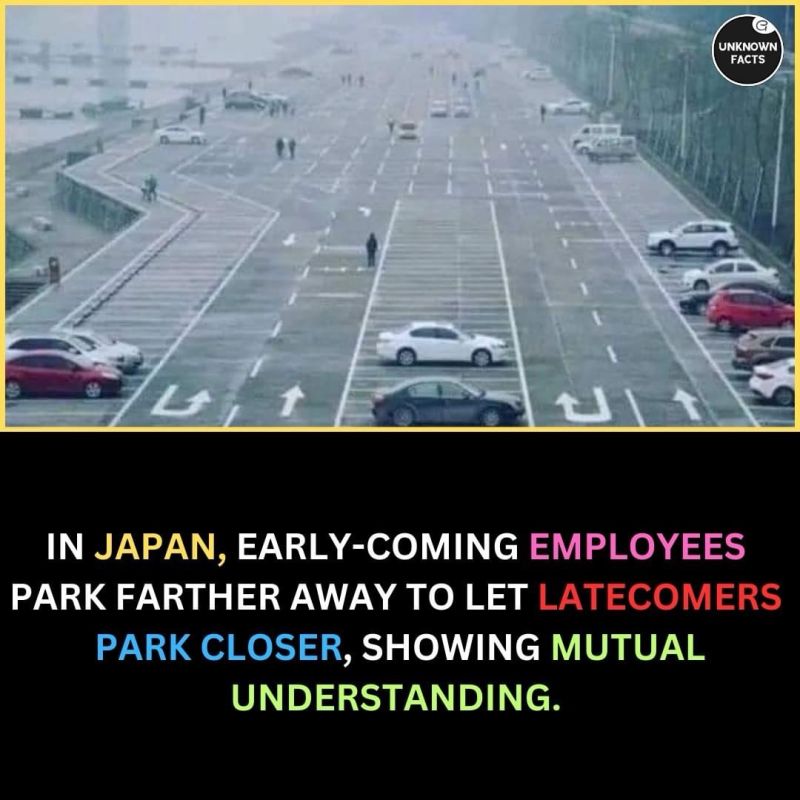 Japanese Parking Lot Empathy: What Technology Cannot Replicate