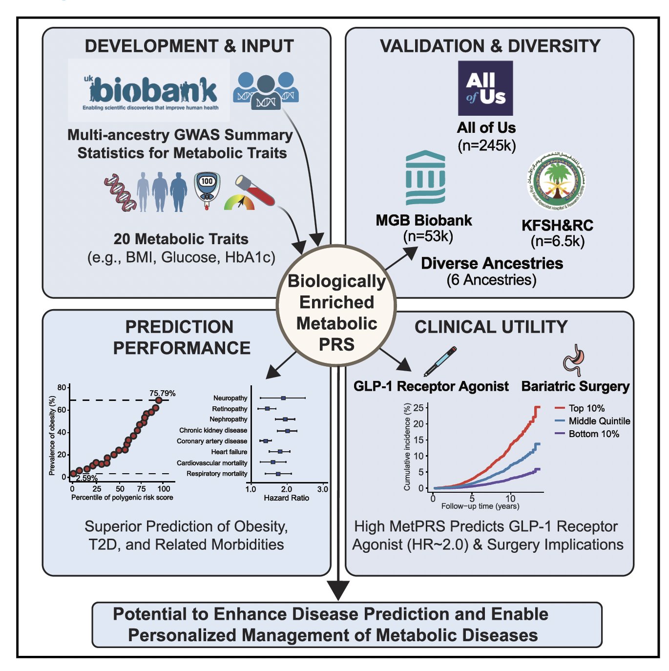 AI polygenic risk score predicts diabetes and obesity