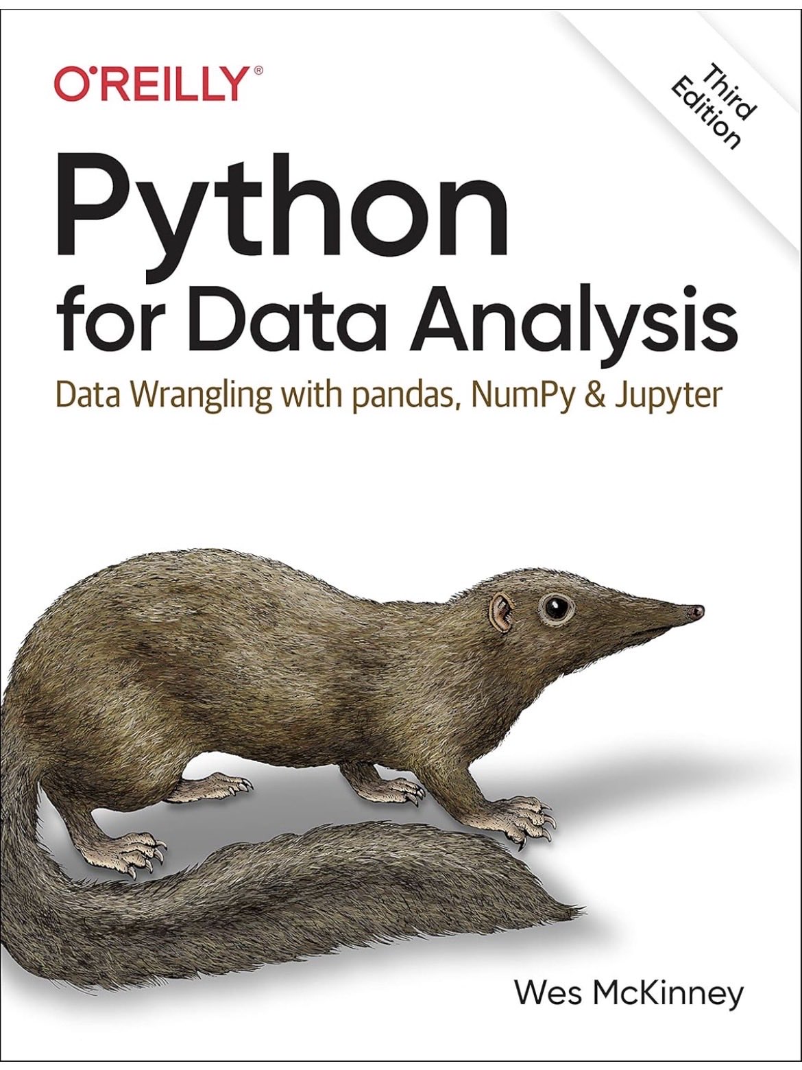 Python for Data Analysis: Complete Guide to Manipulate and Analyze Data